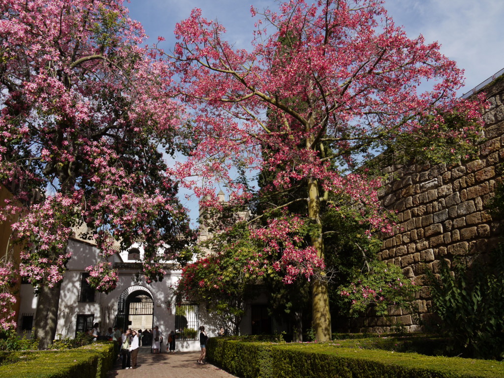 Real Alcazar